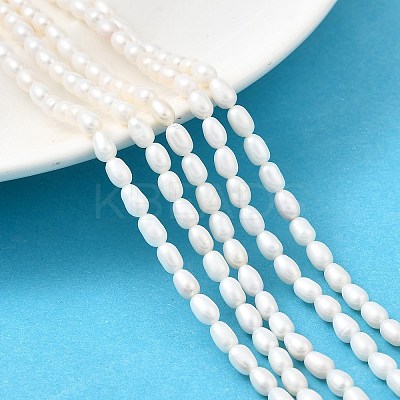 Natural Cultured Freshwater Pearl Beads Strands PEAR-I007-01N-02A-1