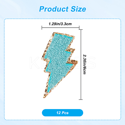 12Pcs Computerized Embroidery Cloth Self Adhesive Patches PATC-GF0001-57B-1