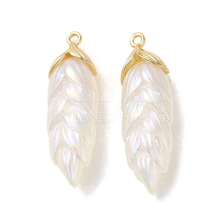 Rainbow Iridescent Plating Resin Pendants LS-RESI-C047-03B-G-1