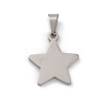 304 Stainless Steel Pendants STAS-Z114-03P-02-1