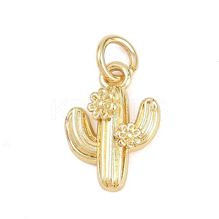 Brass Micro Pave Cubic Zirconia Pendants KK-D258-05G-01-1