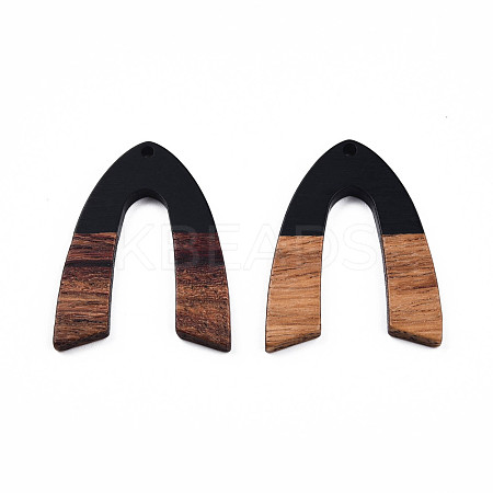 Opaque Resin & Walnut Wood Pendants RESI-N025-029-B01-1