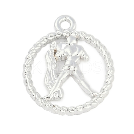 Twelve Constellations Alloy Pendants PALLOY-Q006-01E-S-1