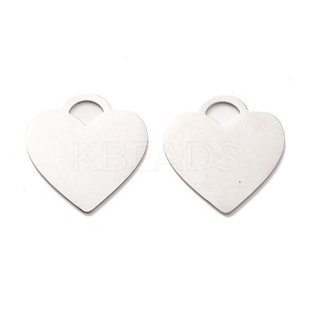 Non-Tarnish 304 Stainless Steel Pendants LS-STAS-A057-05P-1