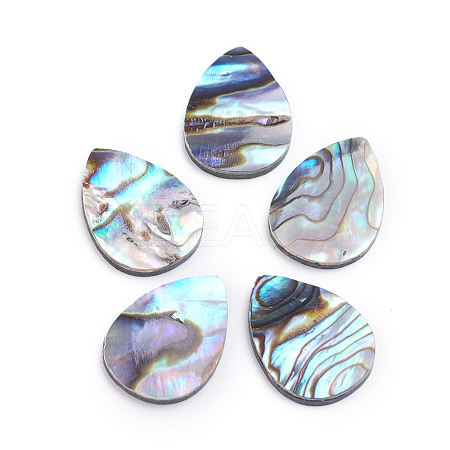 Natural Abalone Shell/Paua Shell Cabochons SSHEL-L017-002-1