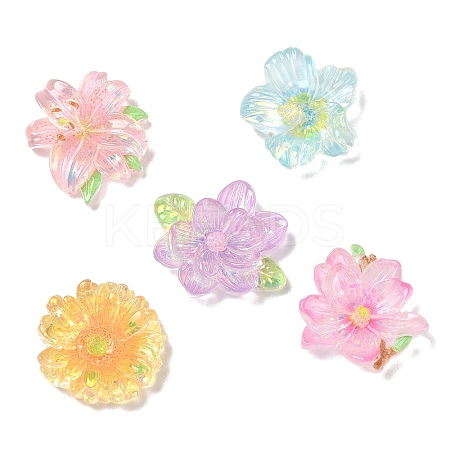 Transparent Resin Cabochons RE-CBA1274-02-1