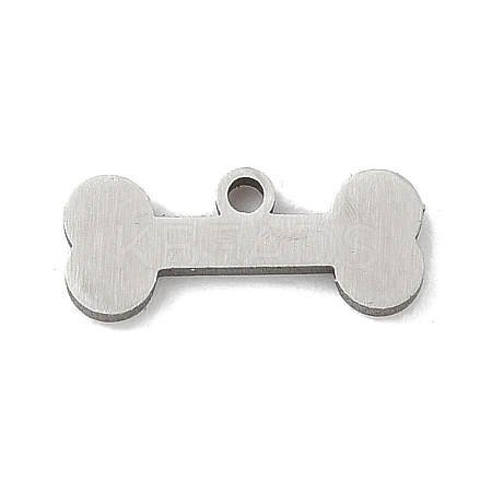 201 Stainless Steel Charms LS-STAS-S174-13P-1