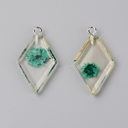 Transparent Clear Resin Pendants RESI-TAC0007-06D-1