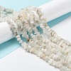 Natural Rainbow Moonstone Beads Strands X-G-A200-02-7