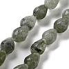 Natural Labradorite Beads Strands G-P520-B05-01-1