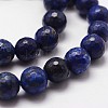 Natural Lapis Lazuli Beads Strands G-D840-38-8mm-4