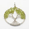 Tree of Life Natural Peridot Bead Brass Wire Wrapped Big Pendants KK-L136-01B-NR-1