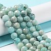 Natural Amazonite Beads Strands G-J400-E11-07AB-2