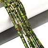 Natural Imperial Jasper Beads Strands G-Q169-A02-01E-2