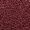 MIYUKI Round Rocailles Beads SEED-G009-RR0425-3
