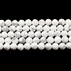 Natural Howlite Beads Strands X-G-E608-A01-B-2