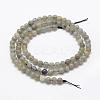 Natural Labradorite Beads Strands G-P322-29-4mm-2