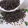 MIYUKI Delica Beads X-SEED-J020-DB0184-1
