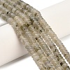 Natural Labradorite Beads Strands G-Z110-B11-2x4mm-1