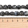Natural Larvikite Beads Strands GG-CBA787B-A37-4