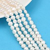 Natural Cultured Freshwater Pearl Beads Strands PEAR-P064-20B-07A-01-1