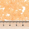 6/0 Luminous Glass Seed Beads SEED-NH0001-01E-5