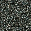 MIYUKI Delica Beads Small X-SEED-J020-DBS0324-3