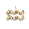Ion Plating(IP) 304 Stainless Steel Micro Pave Cubic Zirconia Charms STAS-Z107-09G-01-1