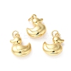 Rack Plating Brass Pendants X-KK-D074-28G-2