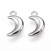 304 Stainless Steel Charms STAS-N109-138P-1