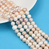 Natural Cultured Freshwater Pearl Beads Strands PEAR-I007-07J-05B-1