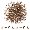 600Pcs Brass End Bead Tips KK-NB0001-64-1