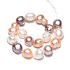 Natural Cultured Freshwater Pearl Beads Strands PEAR-N014-09A-01-2