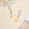 2Pcs Agate Mobile Straps HJEW-LP0001-46C-1
