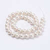 Wrinkle Textured Shell Pearl Beads Strands X-BSHE-F013-02-6mm-2