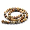 Natural Crazy Lace Agate Beads Strands G-G763-10-6mm-2