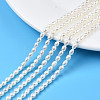 Natural Cultured Freshwater Pearl Beads Strands PEAR-N012-03F-1