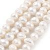 Natural Cultured Freshwater Pearl Beads Strands PEAR-C003-13B-2