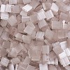 MIYUKI TILA Beads SEED-MY05-TL2553-1