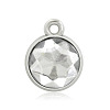 Platinum Plated Alloy Glass Rhinestone Charms PALLOY-TAC0016-D04-P-1