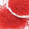 6/0 Transparent Glass Round Seed Beads SEED-J010-F6-25-1