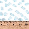 Drawbench Style Glass Seed Beads SEED-N008-10F-4
