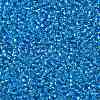 TOHO Round Seed Beads SEED-XTR11-0023B-2