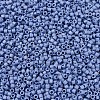 MIYUKI Delica Beads X-SEED-J020-DB2318-3