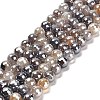 Electroplated Natural Botswana Agate Round Beads Strands G-L598-A03-02-2