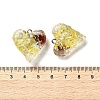 Inner Dried Flower Transparent Resin Pendants RESI-A043-03B-3
