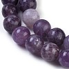 Natural Lepidolite/Purple Mica Stone Beads Strands G-E545-01A-3