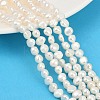 Natural Cultured Freshwater Pearl Beads Strands PEAR-P064-19G-08A-1