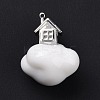 Acrylic Pendants FIND-I024-05B-3