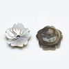 Black Lip Shell Beads SSHEL-S260-030-2